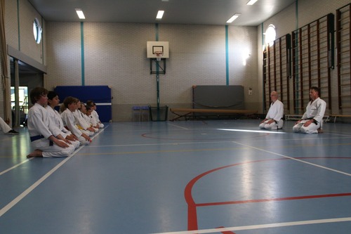 Karate proefles
