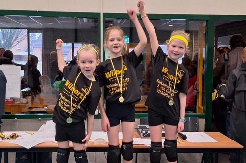 Volleybal