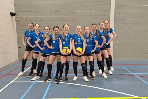 Volleybal